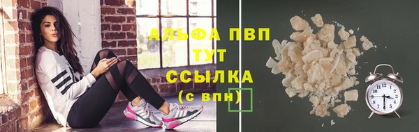 скорость Каменка