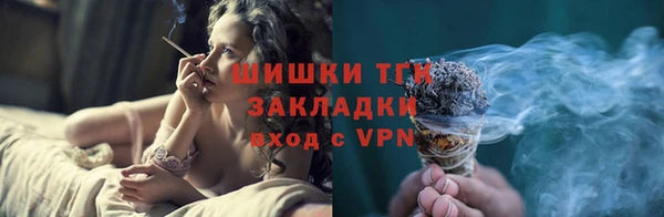 скорость Каменка