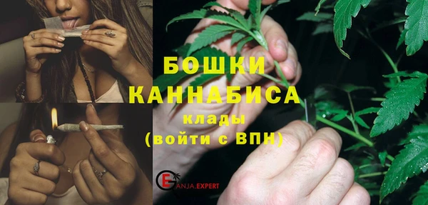 скорость Каменка