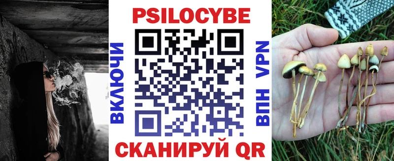 Купить где  Гаврилов Посад  Галлюциногенные грибы GOLDEN TEACHER 